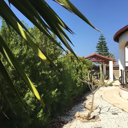Rosa 3+1 With Swimming Pool Villa *